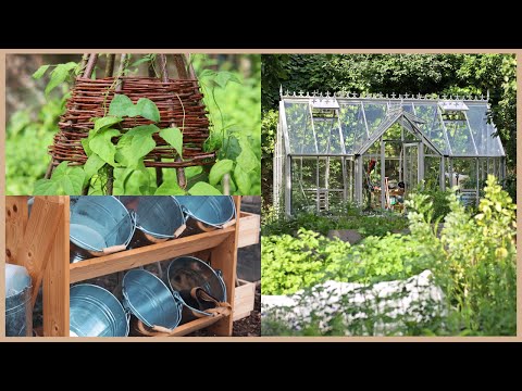 Video: Den Garten zum Leben erwecken - Wie man einen lebendigen Gartenraum schafft