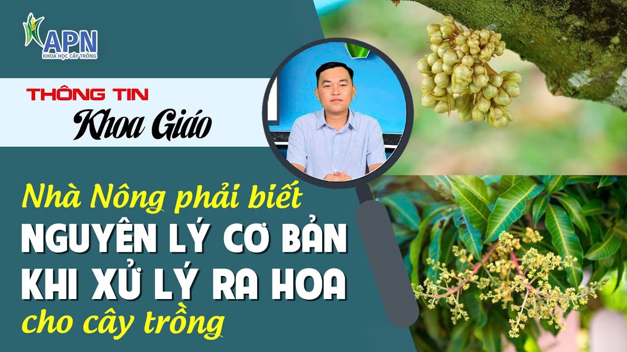APN - NGUYÊN LÝ 