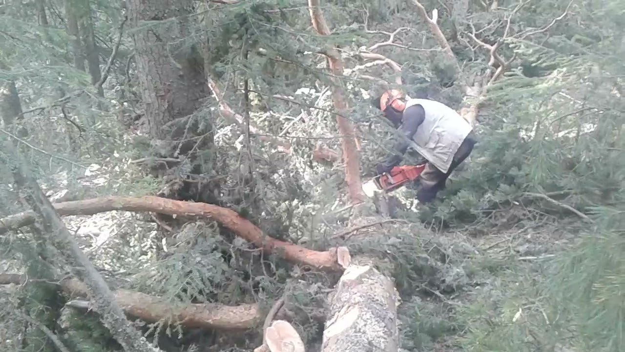 Echo cs 621 sx Kastamonu araç sıragömü köyü