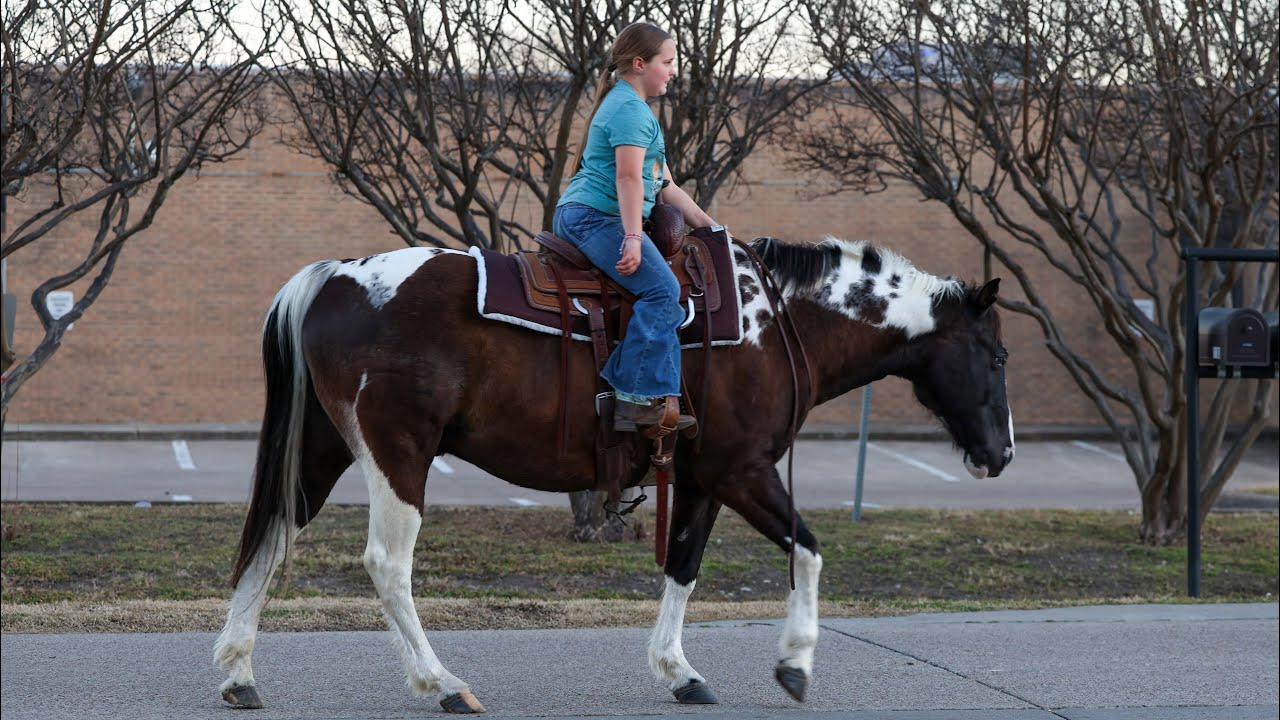 Walker Texas Ranger 🚨