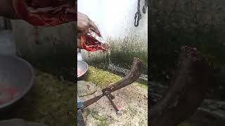 village fish video || #fish #shorts #shortvideo #fishingvideo #fishing #amazing-part-90