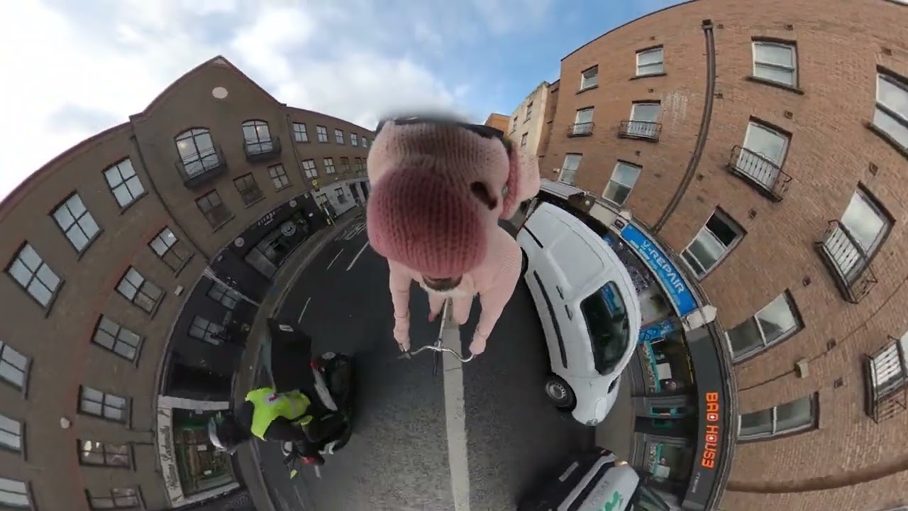 Guarda pigbaby - palindromes su YouTube
