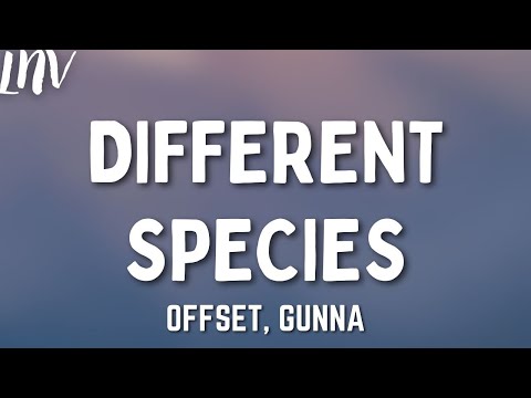 Offset Gunna Different Species Lyrics