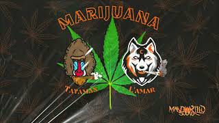 Marijuana - Tataman & Lamar
