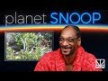 Snoop Dogg Reacts to a Video of Two Snakes Making Love | PLANET SNOOP