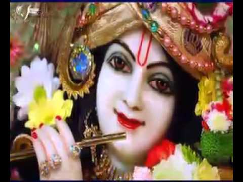 katile Nain Tere, #bankeybihariji #vrindavan #krishna #bhajan #bankebihari #merovrindavan #vrindavan