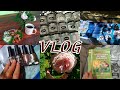 VLOG/ Много разных покупок/ Заказ Wildberries/ Наши цветы