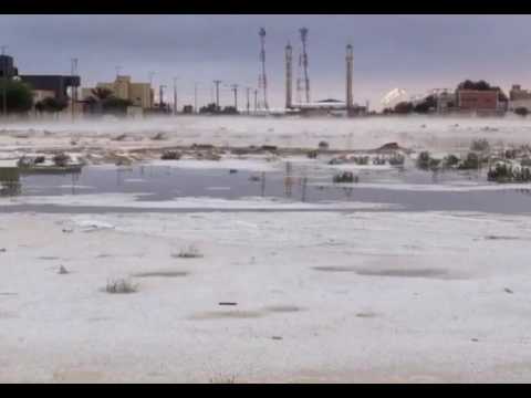 شوف مدينه رغبه 