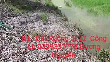 Nhà Đất Bán Đất Ruộng vườn dt 22 Công Giá 200tr Công Tân Thạnh LA