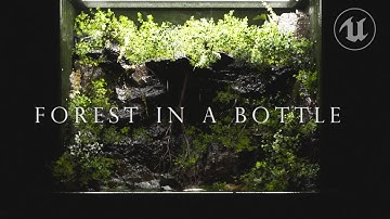 Terrarium in UNREAL ENGINE 5 - Forest in A Bottle: A UE5 Cinematic