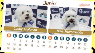 Calendario 2016 Calendario 2016