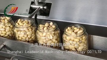 cucumber beans chunk strip automatic filling machine