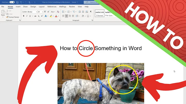 How to Circle Something in Word