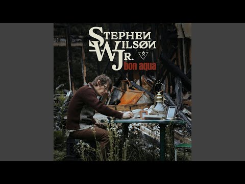 Year to Be Young 1994 - Stephen Wilson Jr.