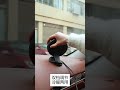 12v/24v Car Heater Heating Cooling Dual-purpose Low Power 360°rotation Defrost Defogger Fast Heating