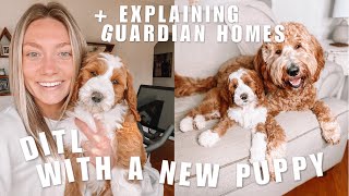 DAY IN THE LIFE WITH MY NEW GOLDENDOODLE PUPPY + EXPLAINING GUARDIAN HOMES