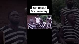 Tsue Tsele Tiv Cat Dance