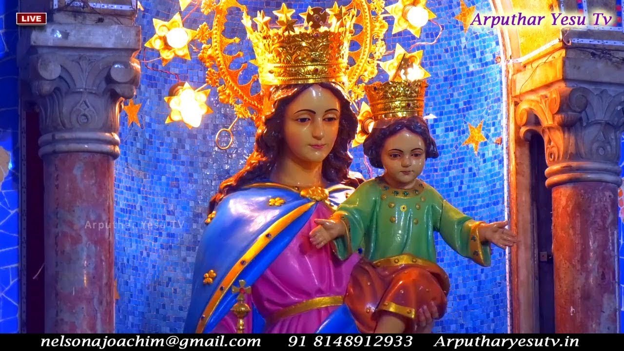 🔴🅻🅸🆅🅴 24th Jan 2026 Special Evening Mass | Sagaya Madha Shrine | St Francis Xavier Church, Broadway