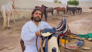 How To Adjust Horse Saddle Zarar Awan