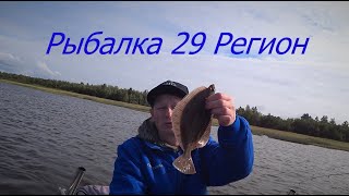 Рыбалка с Гидом на Белом Море 23 08 2023