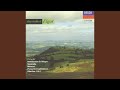 Miniature de la vidéo de la chanson String Serenade In E Minor, Op. 20: Ii. Larghetto