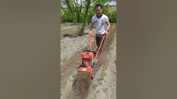 One machine with multiple functions saves time, effort labor Orchard greenhouse management🥶#shorts