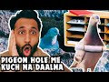 Pigeonhole Me Kuch Na Daalna #englishteacher #ielts #ieltsspeaking #englishgrammar #ieltspreparation