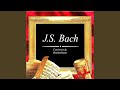 Miniature de la vidéo de la chanson Brandenburg Concerto No. 4 In G Major, Bwv 1049: Allegro