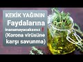 Kekik Yağının Faydaları Nelerdir?