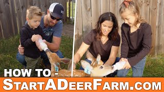 How To Start A Deer Farm! - Go to StartADeerFarm.com!!!