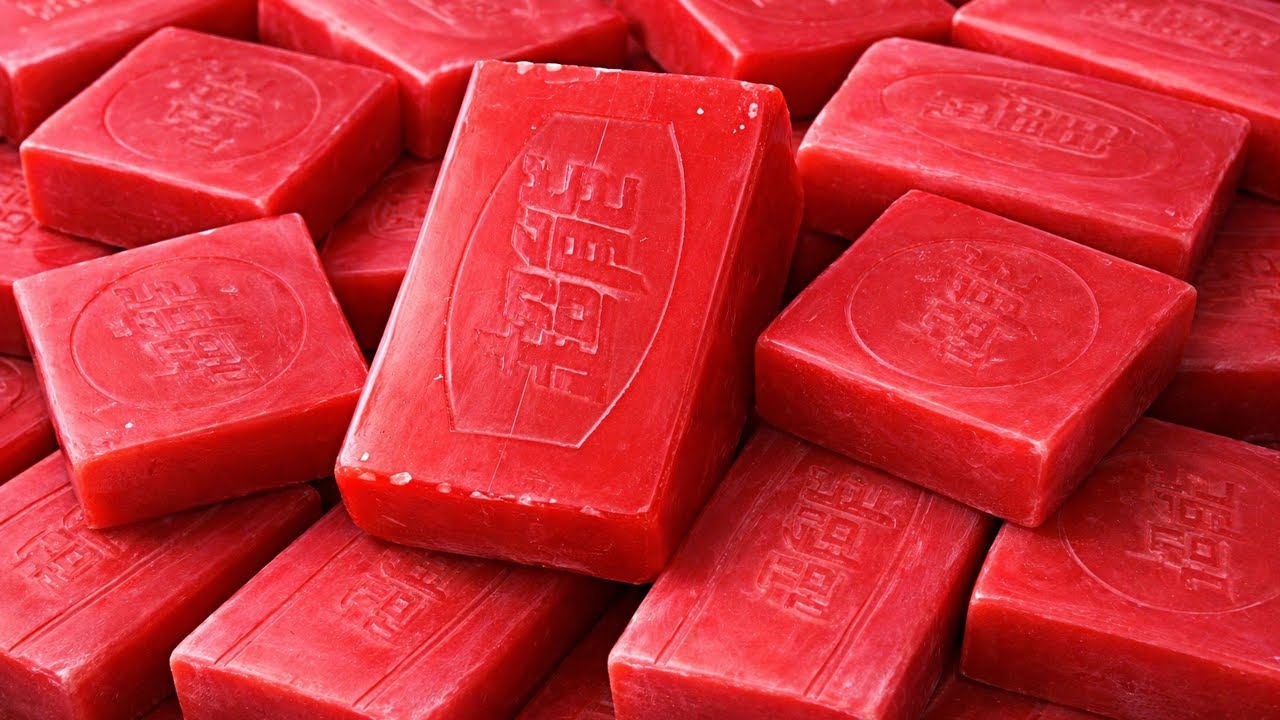 High-Performance Succulent Care 🌵 Results-Driven Indoor Gardening