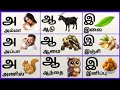 அஆஇஈ/உயிரெழுத்துக்கள்/Uyireluthukkal/Tamil Alphabets for kids @PEEKABOO-ff8wq #uyireluthukkal