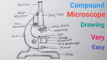 How to Draw Compound Microscope Easy Step / Microscope Drawing With Label