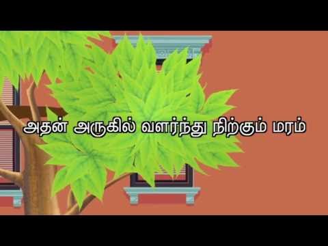 11.07.2016 தினம் ஒரு செய்தி - சீமான் | செய்தி: 34 | Naam Tamilar Seeman's Daily Quotes