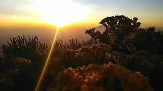 Story wa pendaki || puisi alam