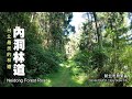 台北最美的林道～烏來．內洞林道（Neidong Forest Road）