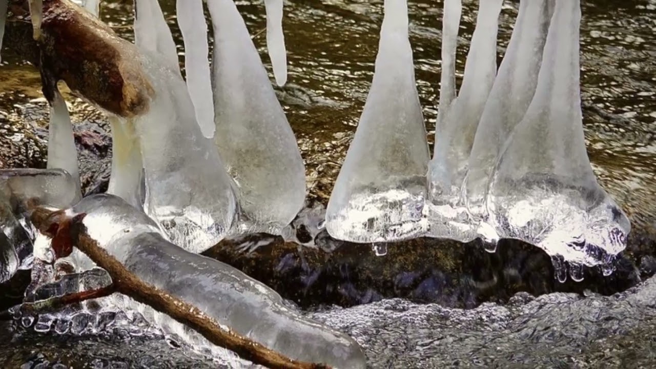 חורפים שבעה 1