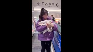 #CutePet #CutePets #Pets #Puppies
