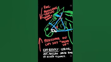 Cons on common bits. LOOK AT PINNED COMMENT! #horsebit #horse #bit #equestrian #foryou