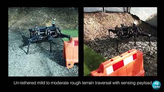 Bruce - Design And Development Of A Dynamic Hexapod Robot