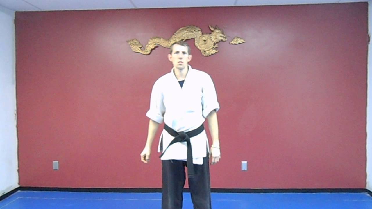 KARATE EXERCISE DRILLS 1000 punch drill 3 YouTube