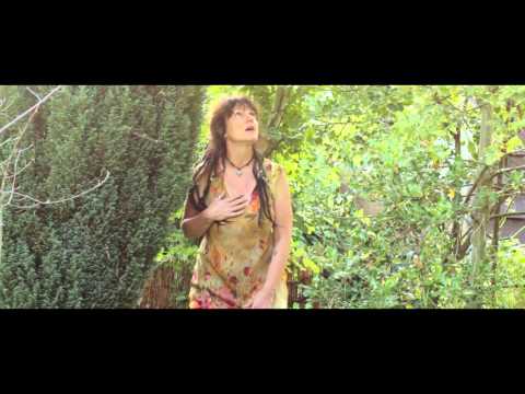 Willows Drum - Mr Blackbird