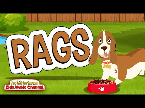 My Dog RAGS