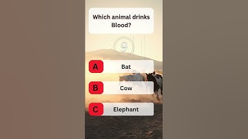 USA Quiz Challenge: Test Your Knowledge With This Question #usaquiz #funquiz #brainteaser #usafacts