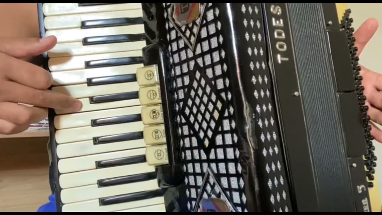 Vídeo Aula Acordeon 
