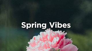 Spring Vibes Playlist 🌷 Relaxing Chill