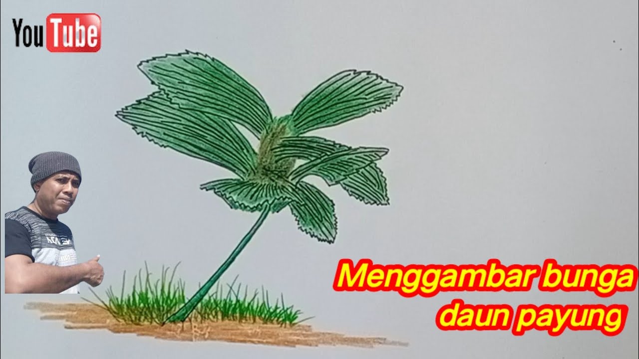 Cara mudah menggambar bunga daun payung II Menggambar bunga