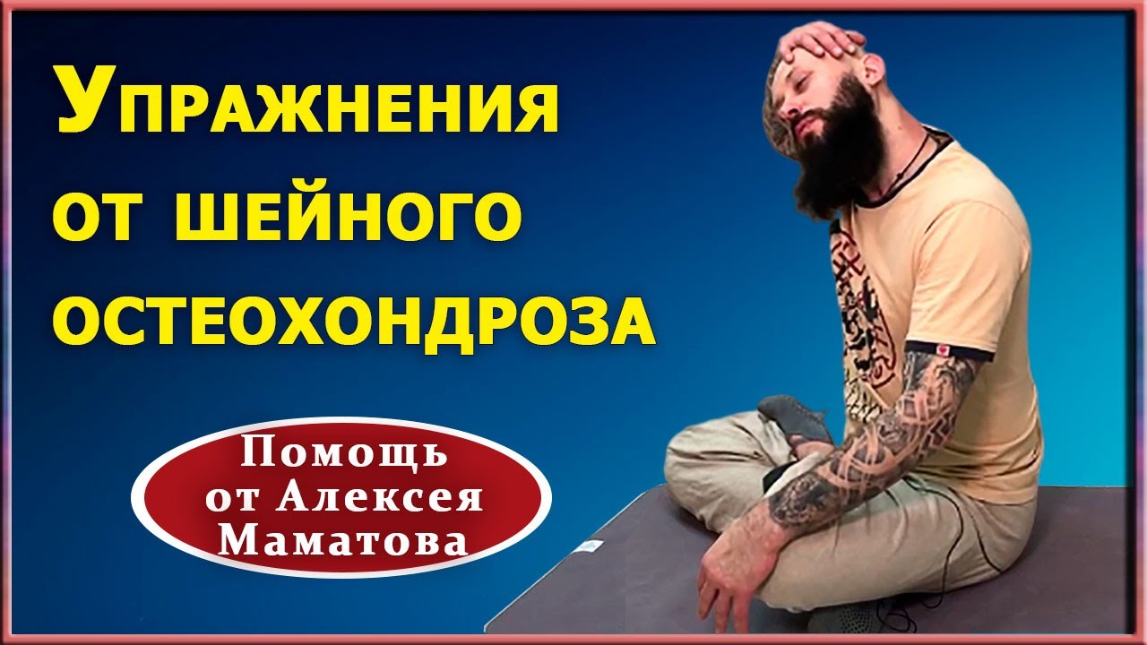 Карина маматова белгород