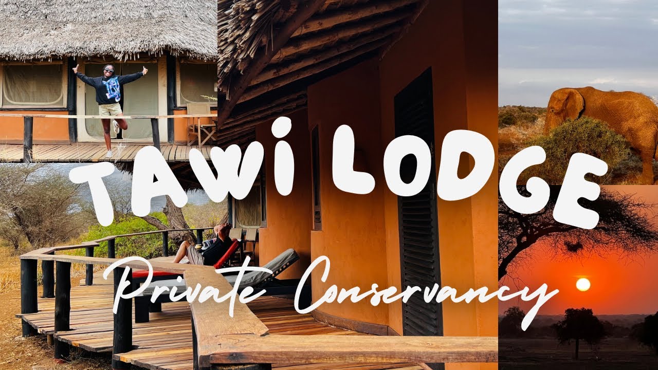 Luxury Safari Lodge | Tawi Lodge | Amboseli  | Private Conservancy 