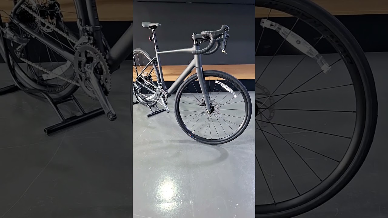 Trek Domane AL2 Gen4 